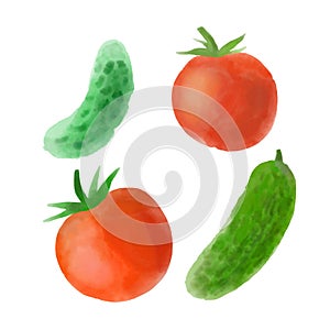 Digital painted tomatoes and cucumbers illustration on a white background