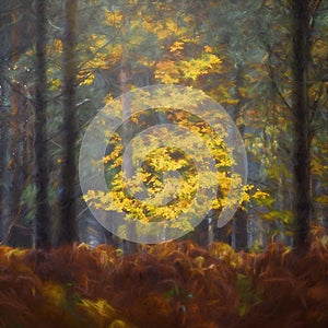 Digital painting of golden autumnal fall tree and leaf colours at Birches Valley, Cannock Chase in Staffordshire