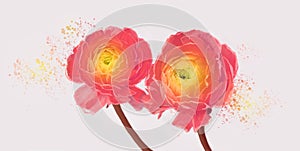 Digital painting. Pink andY ellow anemone flower with drops. Art Watercolor and acrylic smear blot with pencil elements. Abstract