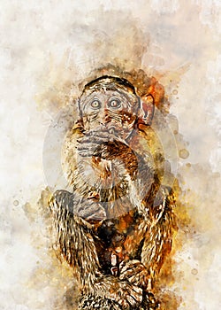 Digital painting of a wildlife on canvas - Monkey