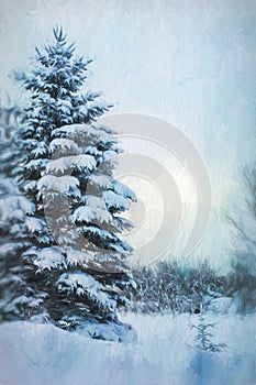 Digital Painting Winter Evergreen Tree Background