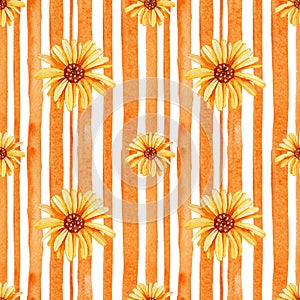 Digital paper seamless pattern with with medicinal calendula flower on a striped background. Hand watercolor