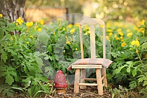 Digital Photography Background Of Outdoor Spring Garden Scene