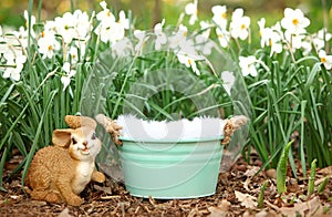 Digital Photography Background Of Spring Flower Garden And Bucket Prop