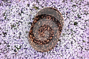 Digital Photography Background Of Wooden Basket Prop In Purple Flower Garden photo