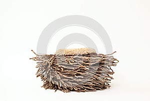 Digital Photography Background Of Wooden Owl Nest Prop