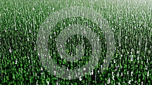 Digital Rain: Abstract Data Stream