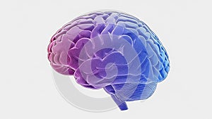 Set against a plain white background emphasizing the vibrant coloration