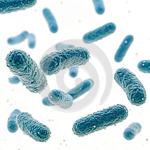 Bacteria isolated on white background