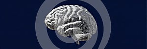 Digital Representation of a Brain With Circuit Patterns Showcasing Technology and Neuroscience Fusion