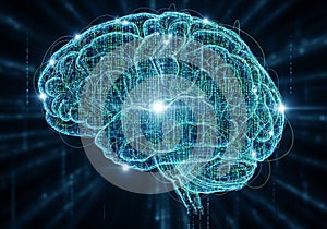 Digital representation of a human brain