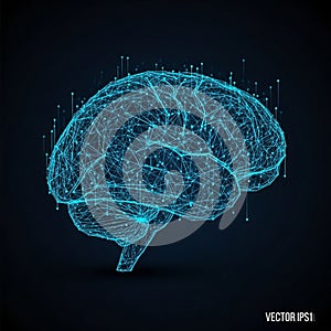 Pathways and connections within the brain evoking digital and