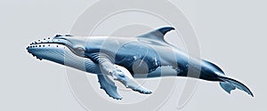 Digital representation of a whale swimming.