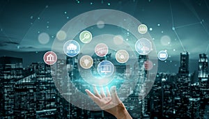 Digital Service Ecosystem and Business Icon Network Vouch