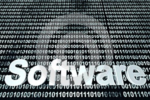 Digital Software Development