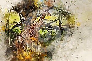 Digital splash watercolor painting of Ugandan giraffe