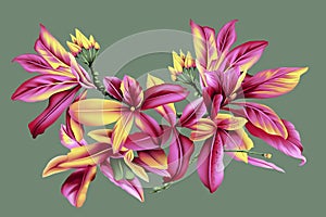 Digital textile design flowers and leaves pattern for digital fabric printing