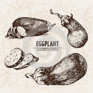 Digital vector detailed line art eggplant