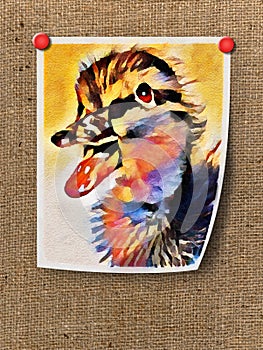 A digital watercolor painting of a baby mallard duck is pinned to a burlap background with red thumbtacks