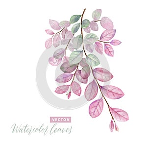 Digital watercolor painting branch with pink and green leaves