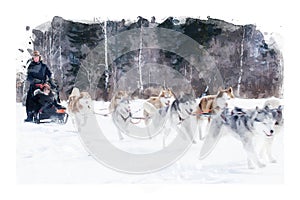 Digital watercolor  painting of sled dogs, dogs running on snow, landscape with animal illustration