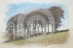 Digital watercolour painting of Twenty Trees at Hayfield in the Peak District National Park