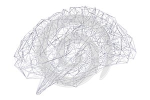 Digital x-ray human brain 3D rendering