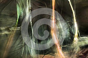 Digitally altered, abstract micrograph of spider silk from a web