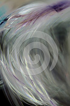 Digitally altered, abstract micrograph of spider silk from a web