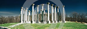 Digitally altered, high contrast image of the historic National Capitol Columns at the National Arboretum