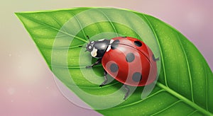 A digitally created image of a ladybug (Coccinellidae) on a vibrant green leaf. The