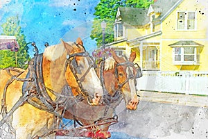 Digitally created watercolor painting of a pair of horses pulling a carriage on Mackinac Island