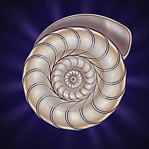 A digitally generated image depicting a spiral nautilus shell pattern