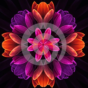 A digitally generated image featuring a symmetrical, mandala-like design composed