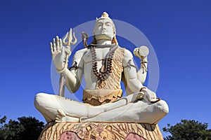 Dignified Pose of Lord Shiva