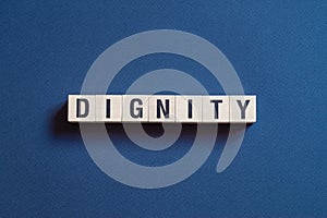 Dignity - word concept on cubes