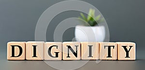 DIGNITY - word on wooden cubes on a gray background with a cactus