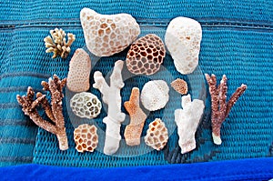 Dihamri marine protected area, the beach, corals, shells, red mountains, diving in Socotra island, Yemen