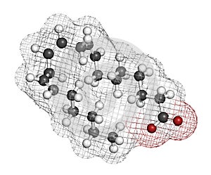 Dihomo-ÃÂ³-linolenic acid (DGLA) fatty acid molecule. Omega 6-fatty acid that is produced in the body from gamma-linolenic acid. 3D