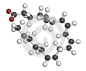 Dihomo-ÃÂ³-linolenic acid (DGLA) fatty acid molecule. Omega 6-fatty acid that is produced in the body from gamma-linolenic acid. 3D