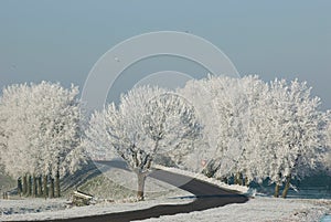 The dijk in snow