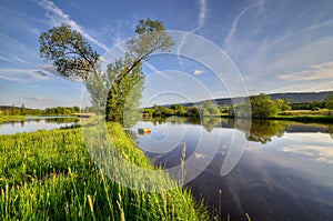 On the between ponds