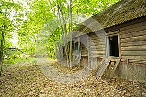 Dilapidated Abandoned Country Blockhouse, Overgrown By Trees, Exclusion Area After Chernobyl Tragedy