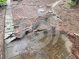 dilapidated or broken red brick path or trail