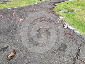 dilapidated or broken red brick path or trail