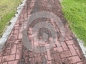 dilapidated or broken red brick path or trail