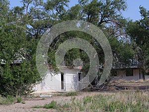 Dilapidated buildings covered by trees at the Glenrio ghost town, one of America`s ghost towns at Route 66 photo