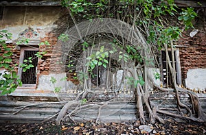 Dilapidated church in Wat Rat Bamrung Wat Ngon Kai - Samut Sakhon, Thailand