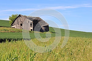 Dilapidated Farm House