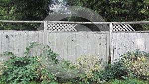 Dilapidated Fence needing replacement wide angle